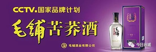 谷城乡村振兴怎么干？省里这份重要文件列出21条举措……