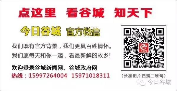 谷城乡村振兴怎么干？省里这份重要文件列出21条举措……