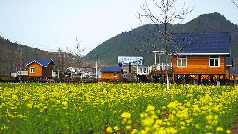 凸显秦岭原乡记忆 加快美丽乡村建设