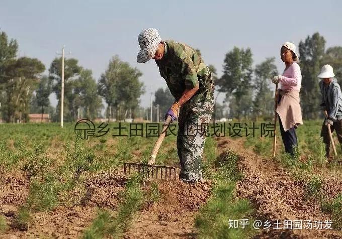 发展乡村旅游的意义有哪些？