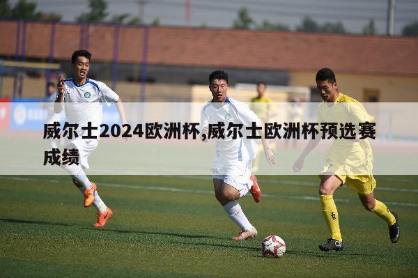 威尔士2024欧洲杯,威尔士欧洲杯预选赛成绩