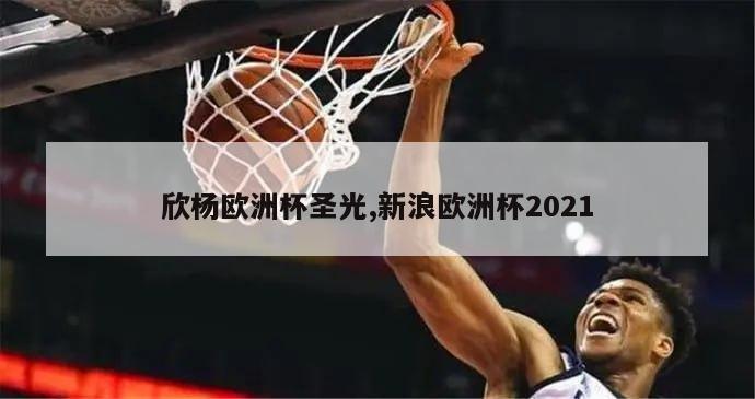 欣杨欧洲杯圣光,新浪欧洲杯2021