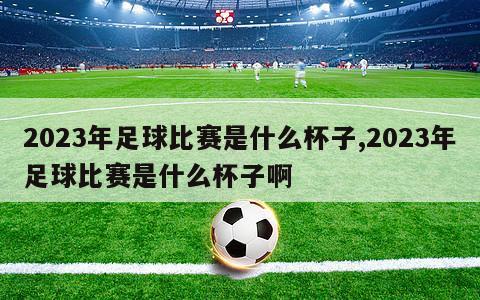 2023年足球比赛是什么杯子,2023年足球比赛是什么杯子啊