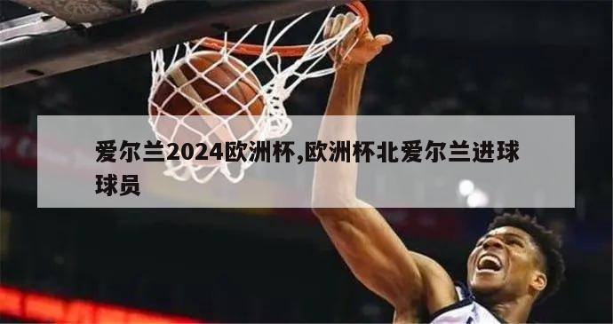 爱尔兰2024欧洲杯,欧洲杯北爱尔兰进球球员