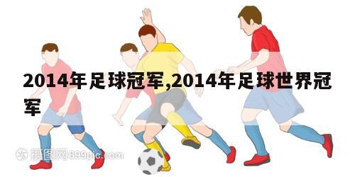 2014年足球冠军,2014年足球世界冠军